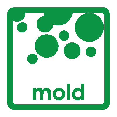 Mold Cleanup